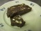 Chocolate con biscotti